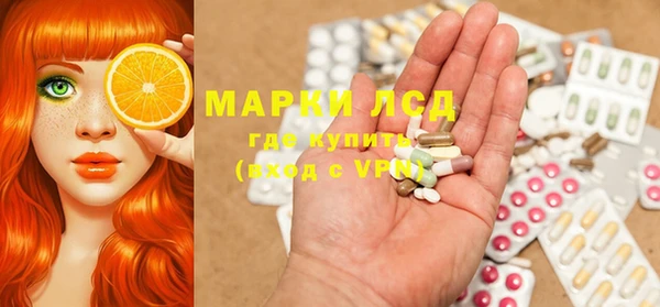 амф Аркадак
