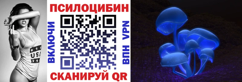 Галлюциногенные грибы Psilocybe  цена   Чаплыгин 